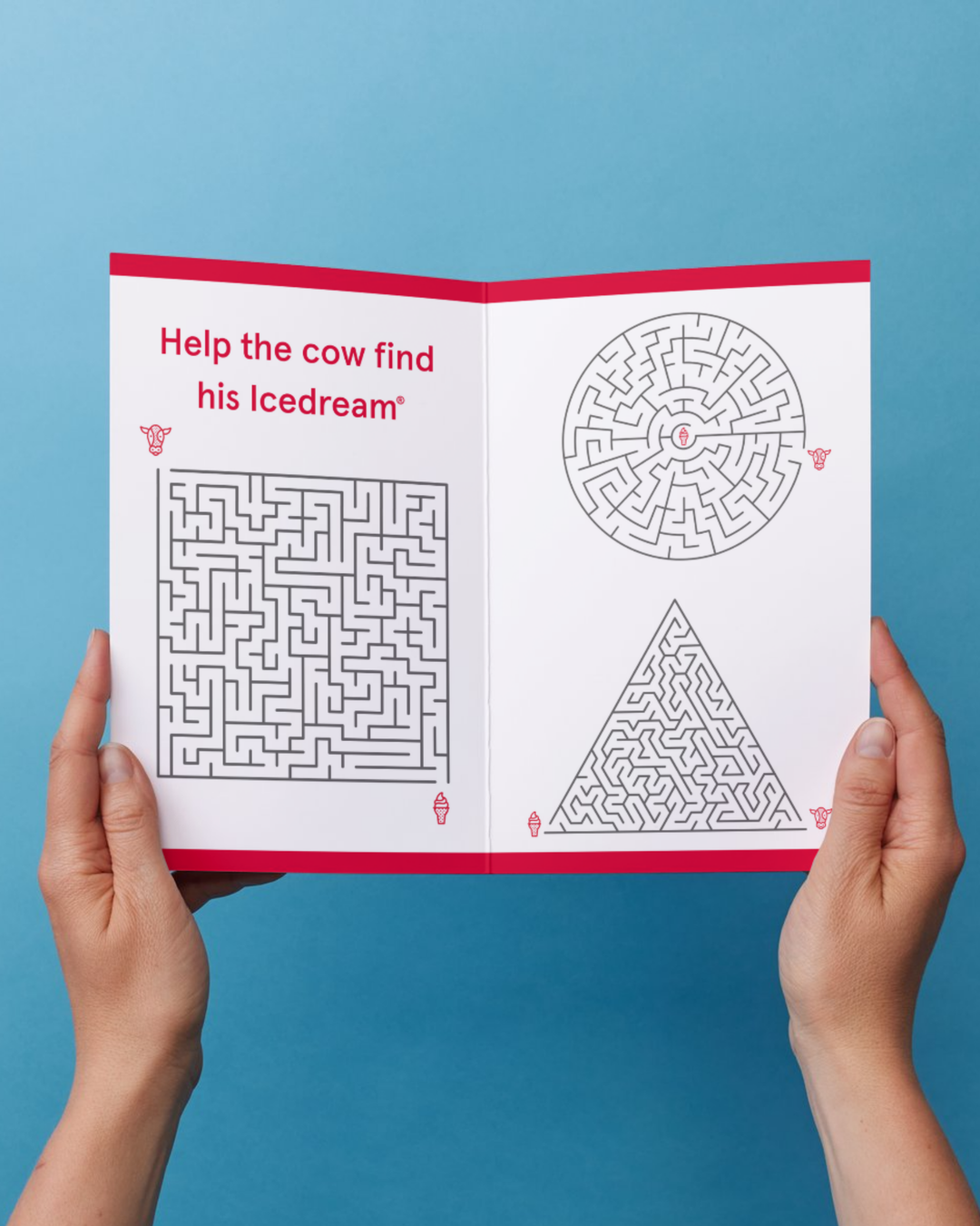 The Little Red Play Book - Activity Book