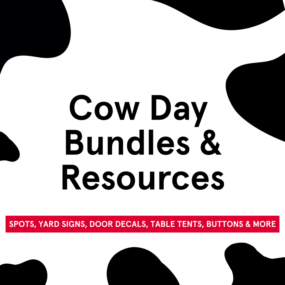 Cow Day Resources & Bundles