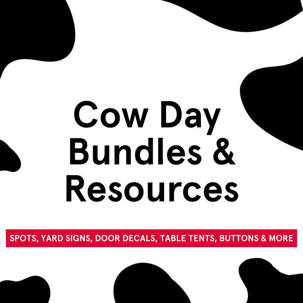Cow Day Resources & Bundles